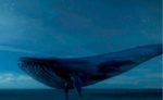 Blue whale: ci sono casi in Emilia-Romagna?