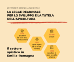 Tutela delle api e dell’ambiente. Francesca Marchetti (PD): “Approvata la nuova legge regionale sull’apicoltura”