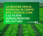 Agricoltura. Programmazione per lo sviluppo rurale 2023-2027, via libera dell’Assemblea legislativa: quasi 1 miliardo di euro all’Emilia-Romagna, 132 milioni in più rispetto alla precedente programmazione europea.